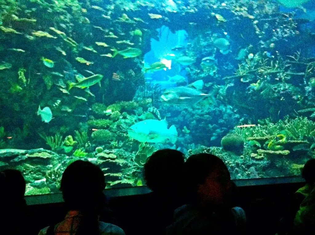 Beijing Aquarium and Planetarium