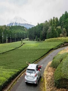 Everything You Need To Know About Driving On Hokkaido, Japan