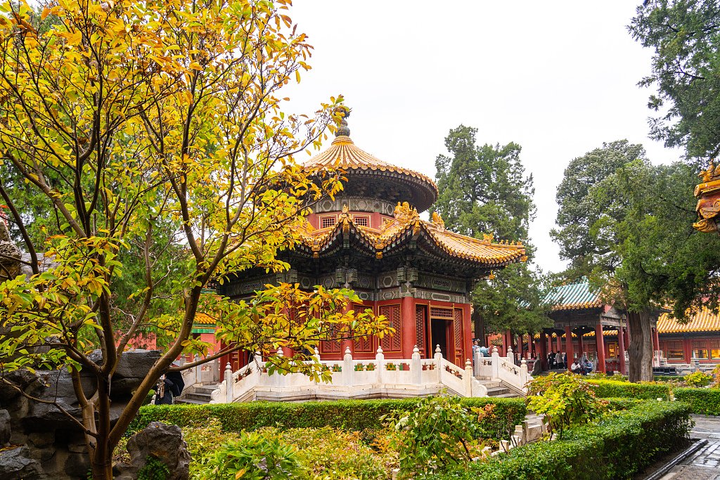 Imperial Garden at the Palace Museum
