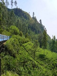 Sri Lanka Itinerary