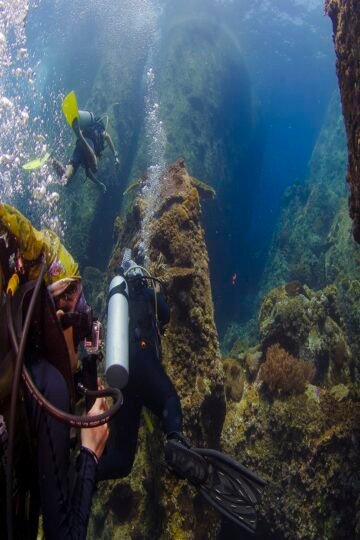 The Perhentian Islands Diving