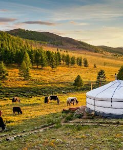 Ulaanbaatar Itinerary With The Best Things To Do In Ulaanbaatar