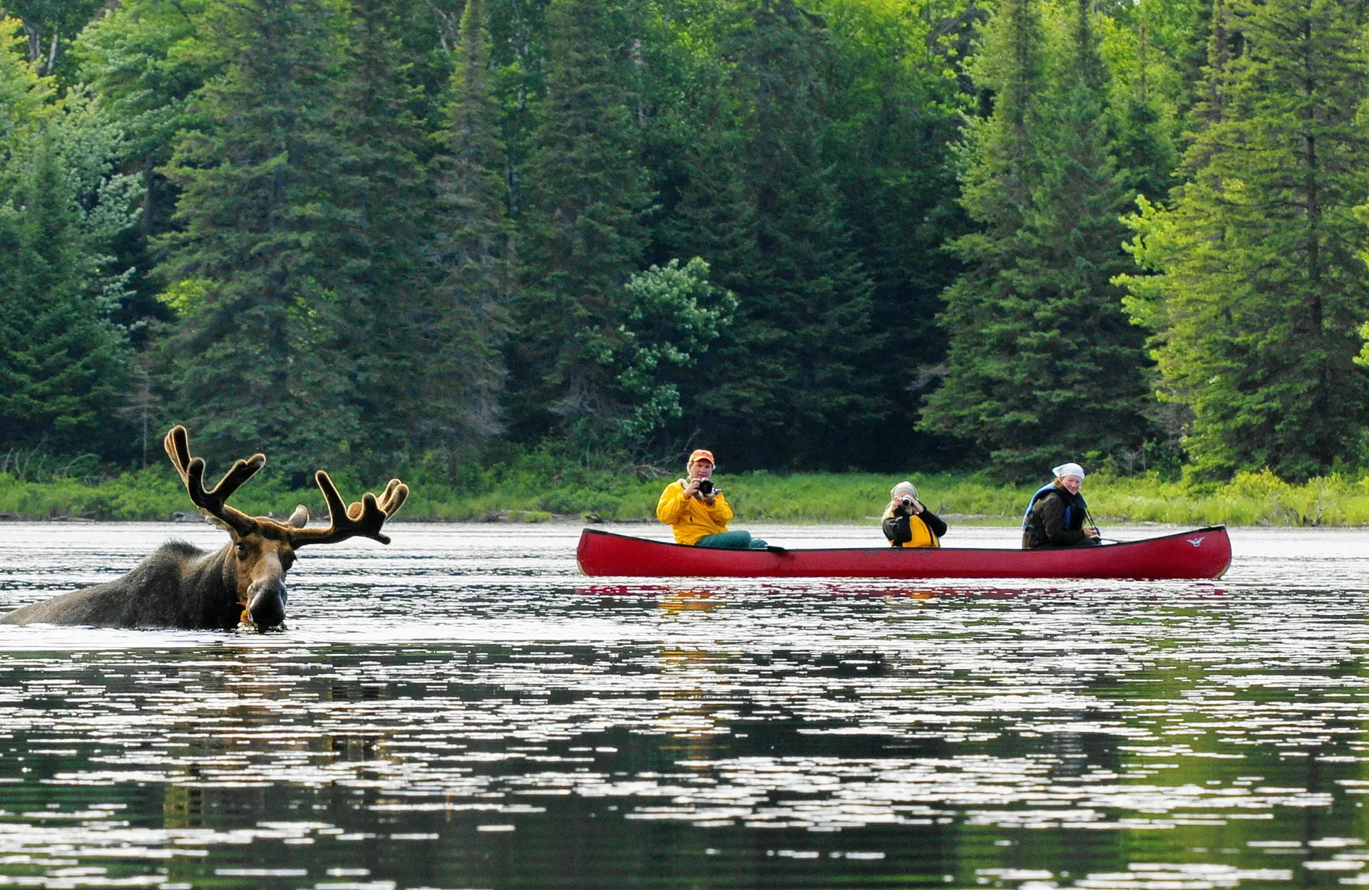Algonquin Provincial Park