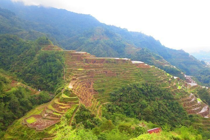 Banaue Rice terraces