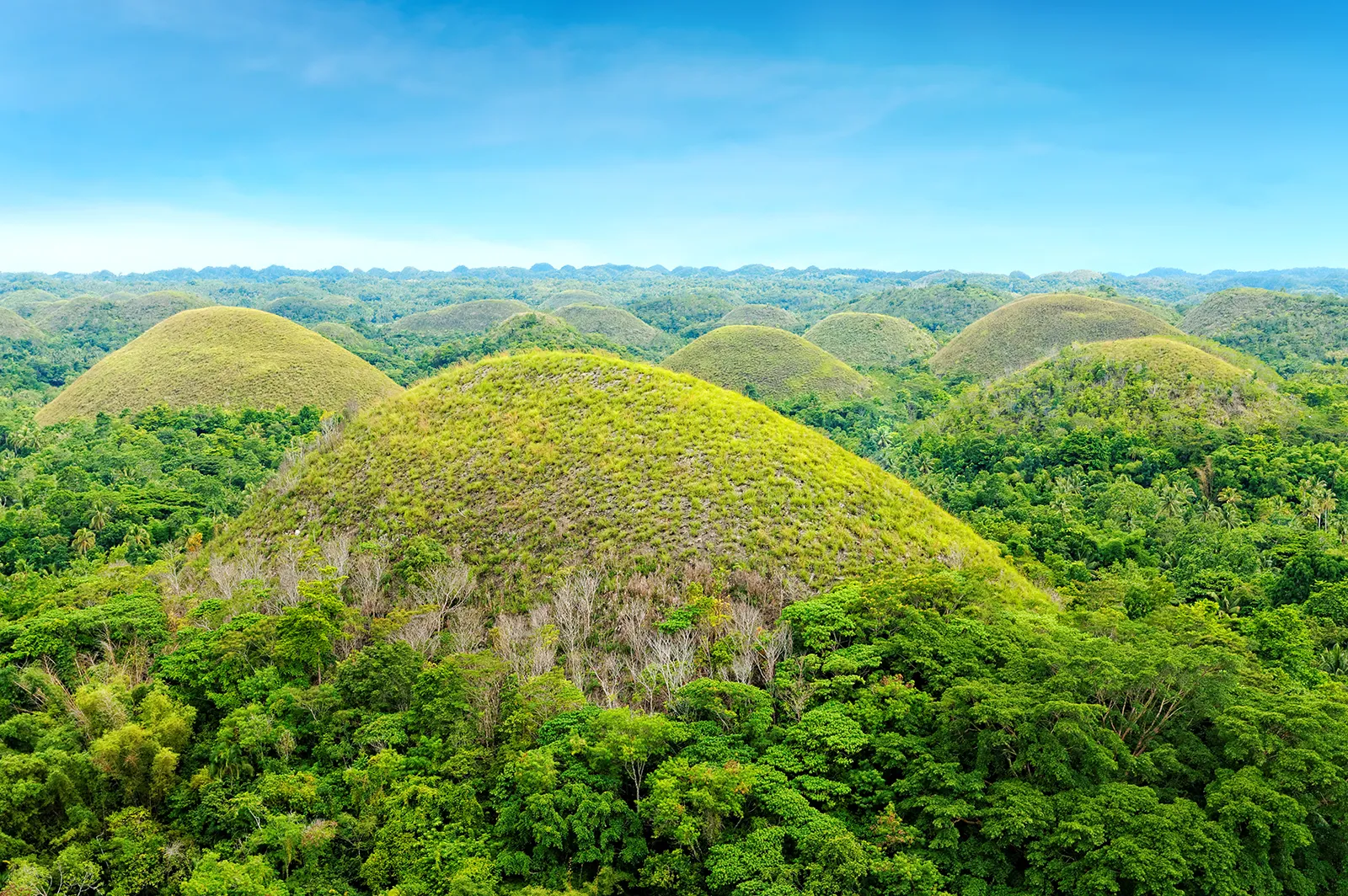 Bohol