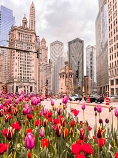 Chicago Itinerary