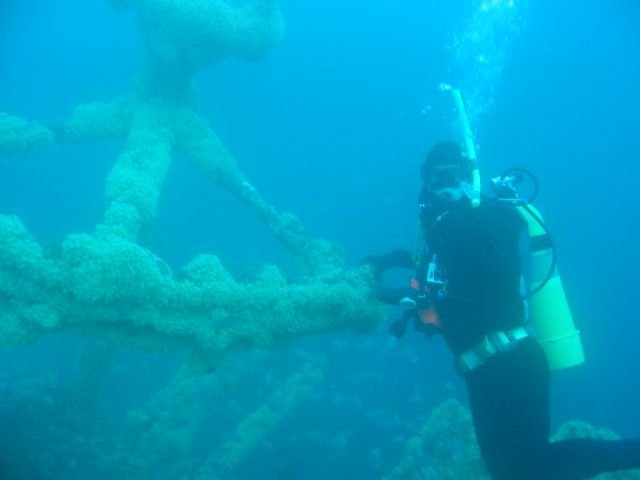 Coogee & Underwater Adventures