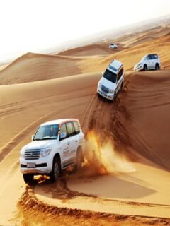 Dubai Desert Safari
