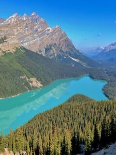 Easy Hikes in Banff National Park