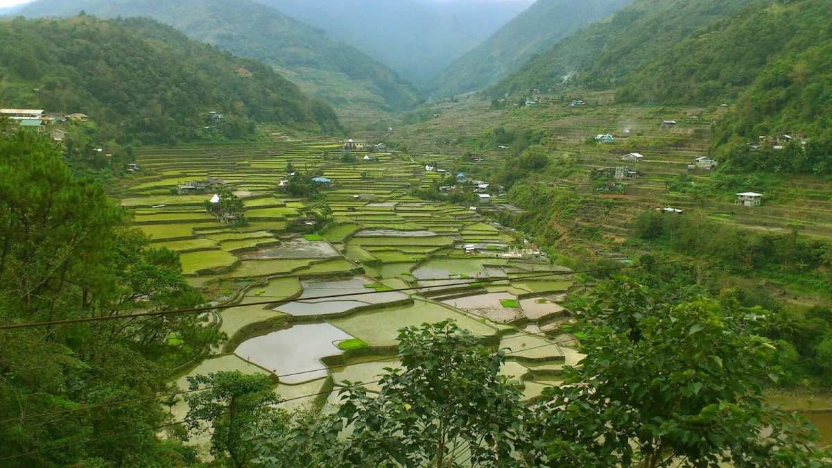 Hapao and Hungduan Rice Terraces