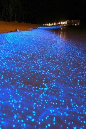 How to Get to Sea of Stars Maldives