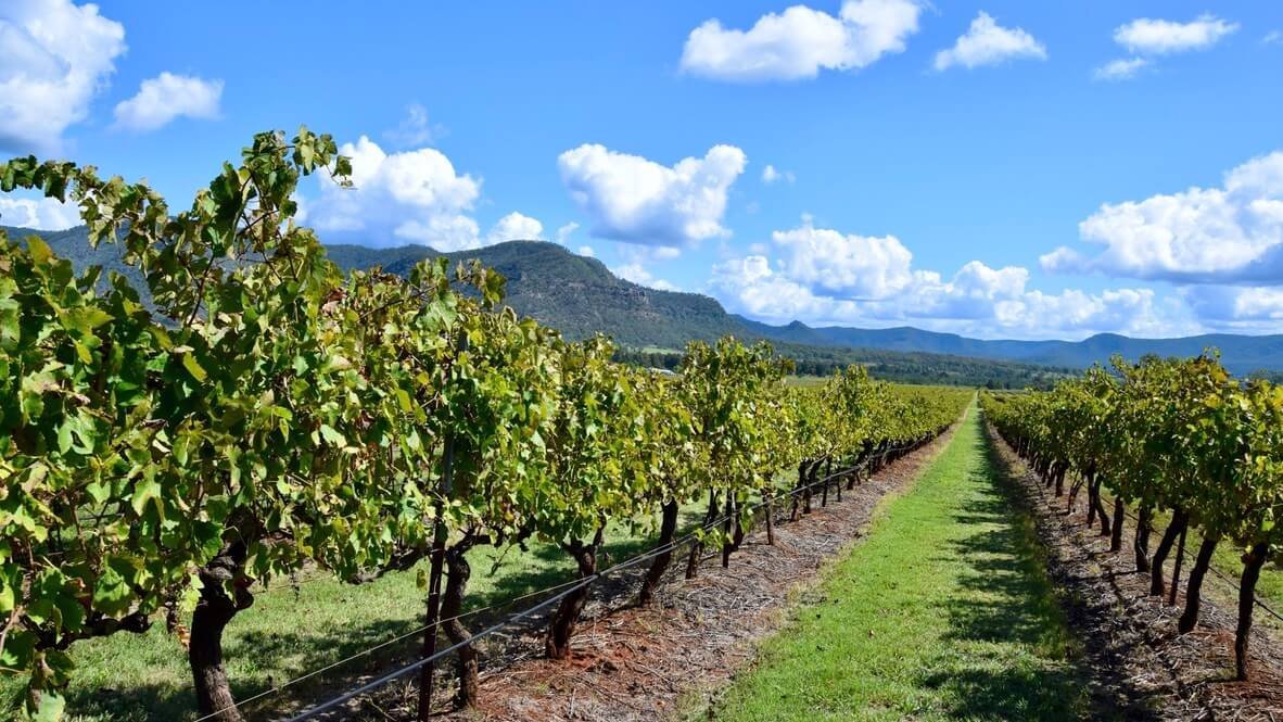 Hunter Valley