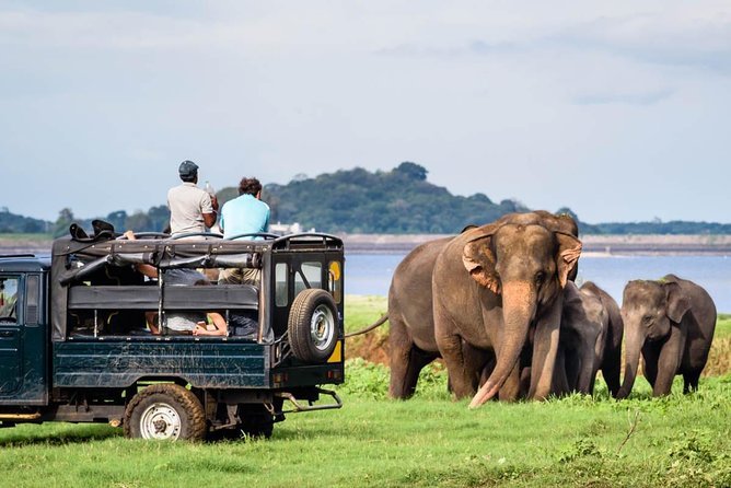 Minneriya National Park