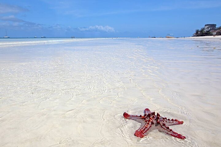 Nungwi Beach and Mnarani Marine Turtles Conservation Pond