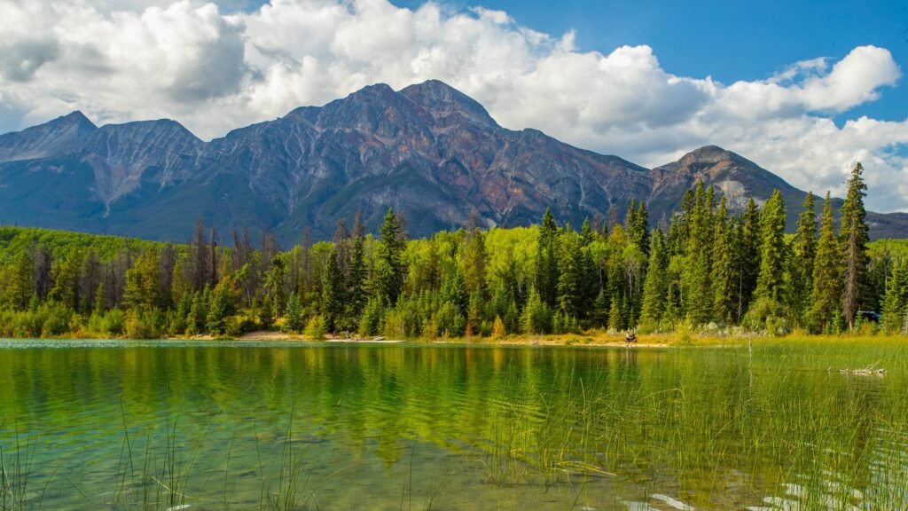 Patricia Lake