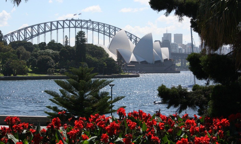 Royal Botanic Garden Walk