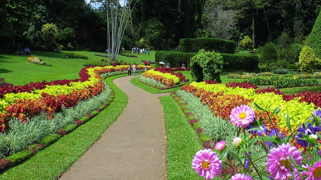 Royal Botanical Gardens in Peradeniya