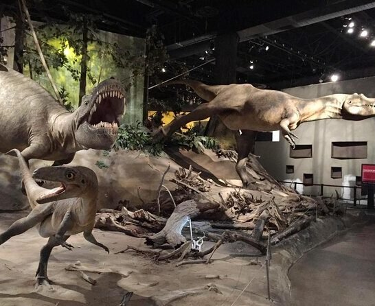 Royal Tyrrell Museum