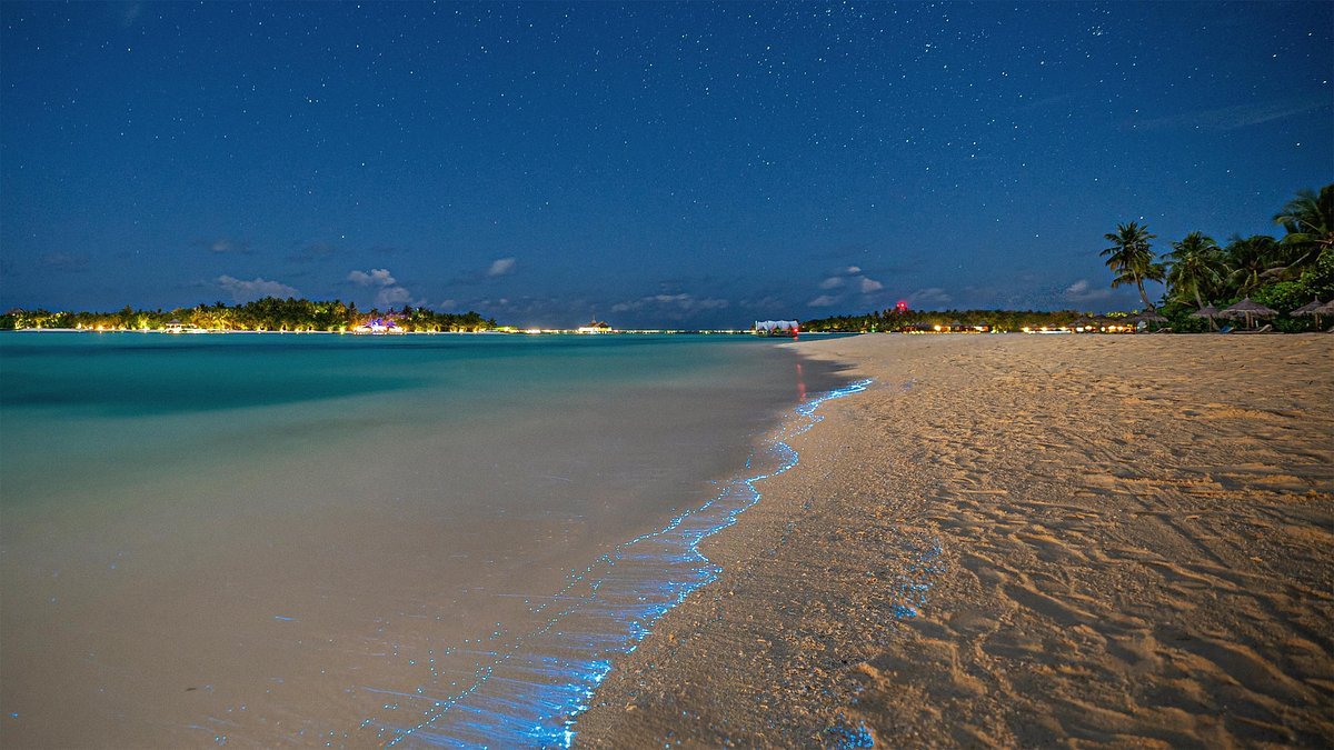 Sea of Stars Maldives Tour
