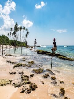 Sri Lanka Itinerary 7 Days