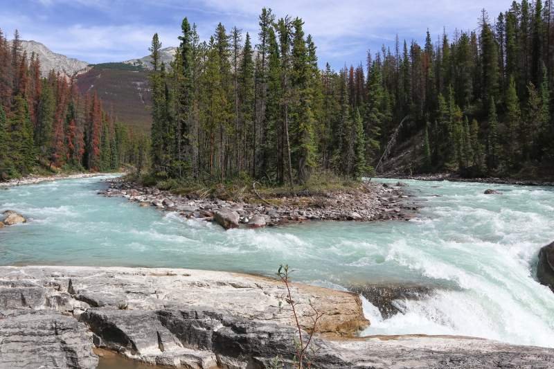 Sunwapta Falls