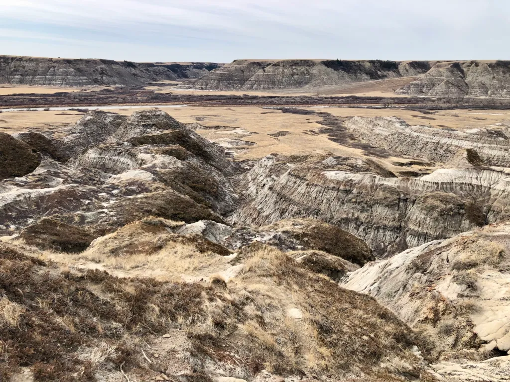 The Best Things to Do in Drumheller
