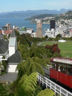 Things to Do in Wellington