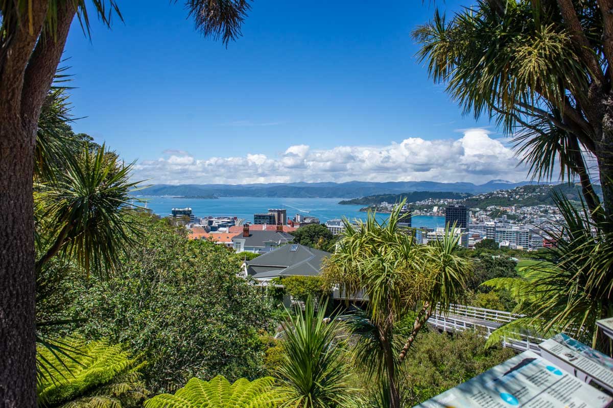 Things to Do in Wellington New Zealand