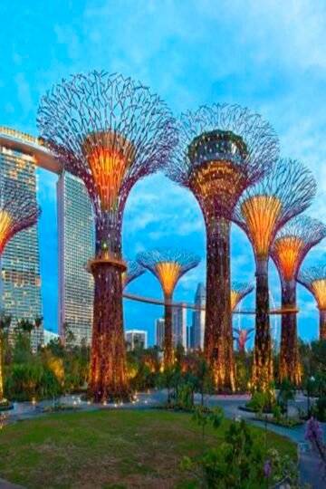 Traveling To Singapore