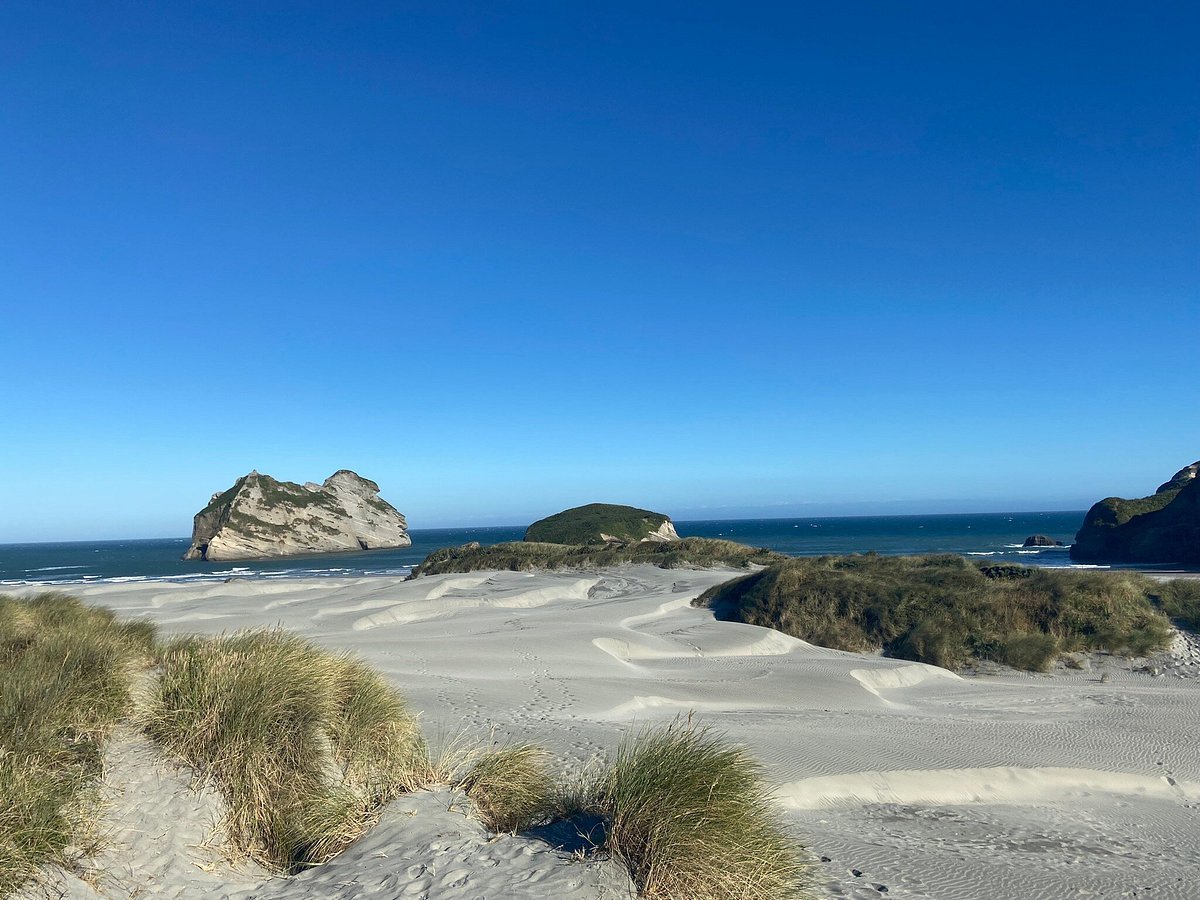 Wharariki Beach Campsite (South Island)