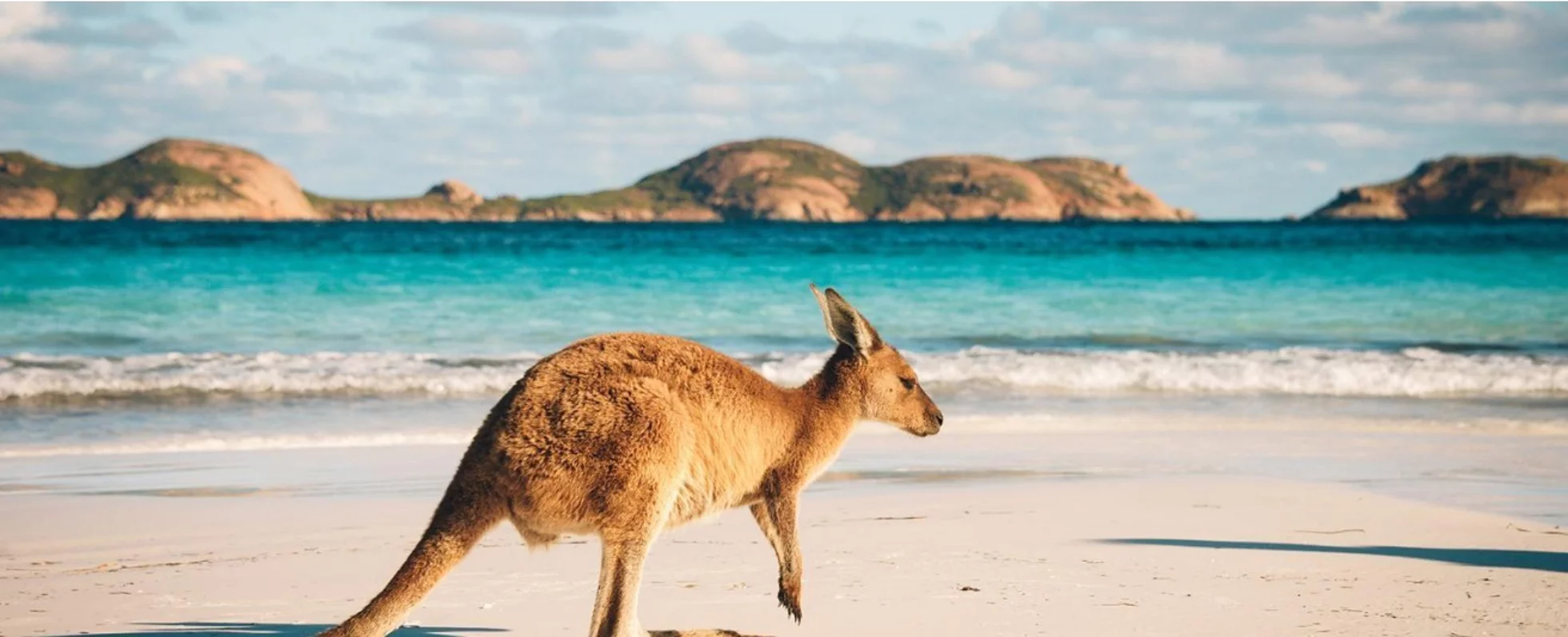 Working Holiday Australia Program