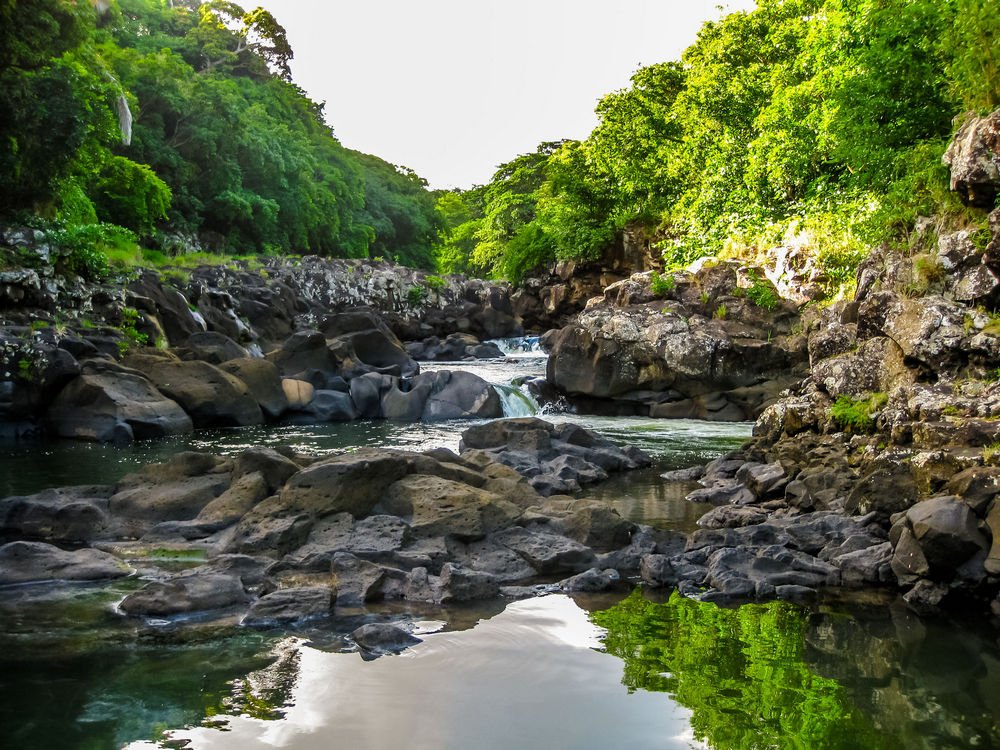 Black River Gorges National Park