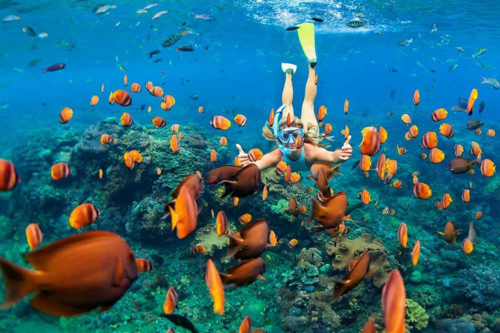 Snorkeling & Scuba Diving in Mauritius