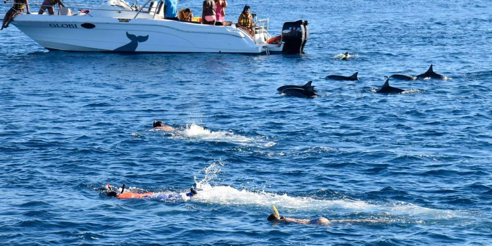Swim with Wild Dolphins + Magical Sunset Cruise in Mauritius
