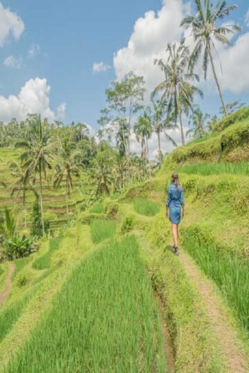 2 Weeks in Bali With Family