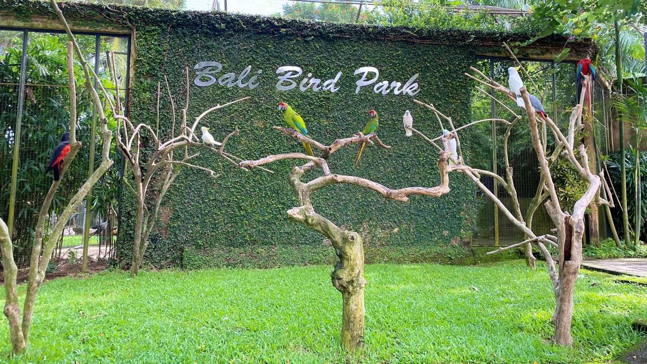 Bali Bird Park & Reptile Park