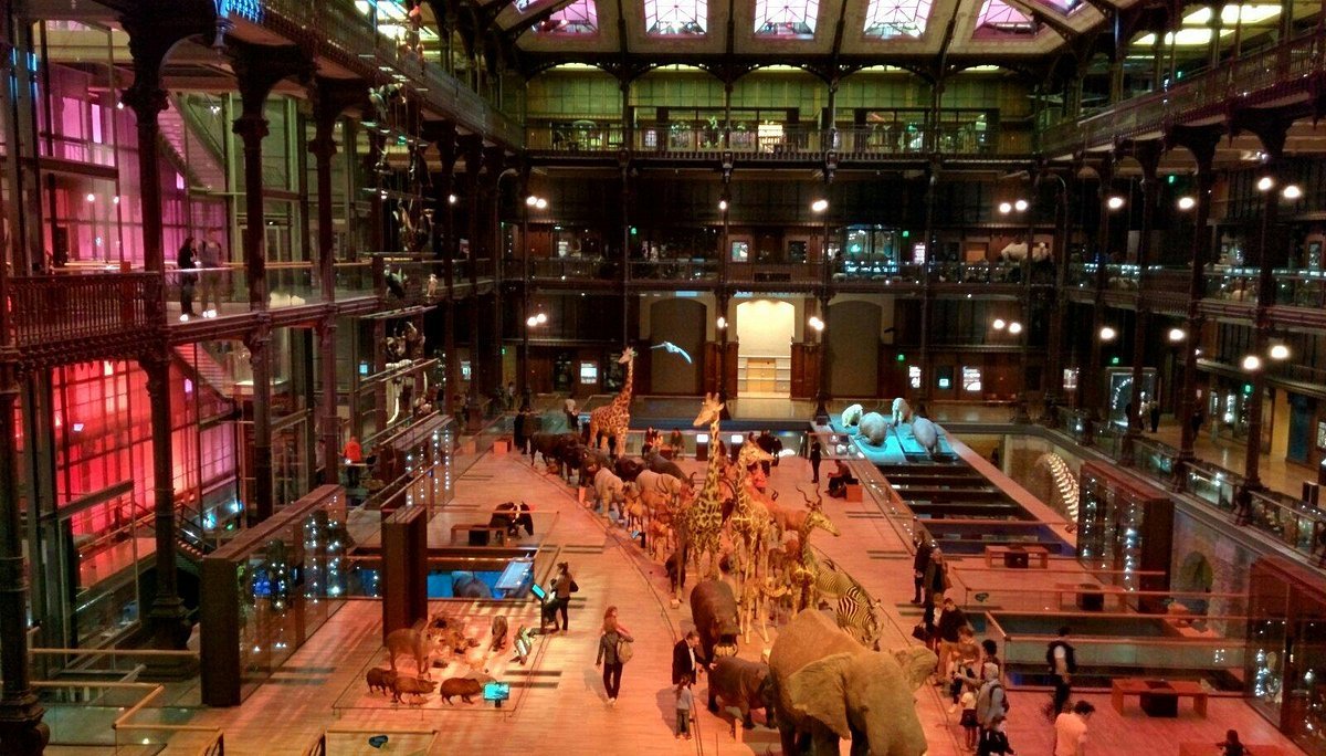 Galerie des Enfants