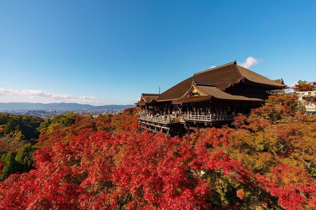 Perfect 3 Days Kyoto Itinerary