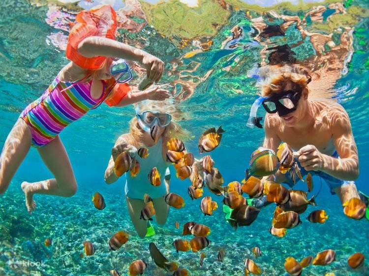 Snorkeling in Nusa Lembongan or Amed