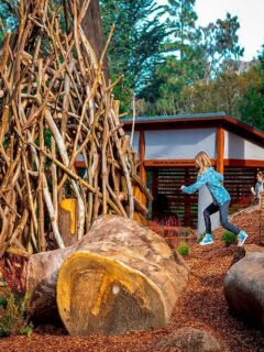 Things to Do in San Francisco with Kids