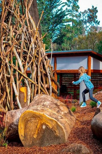 Things to Do in San Francisco with Kids