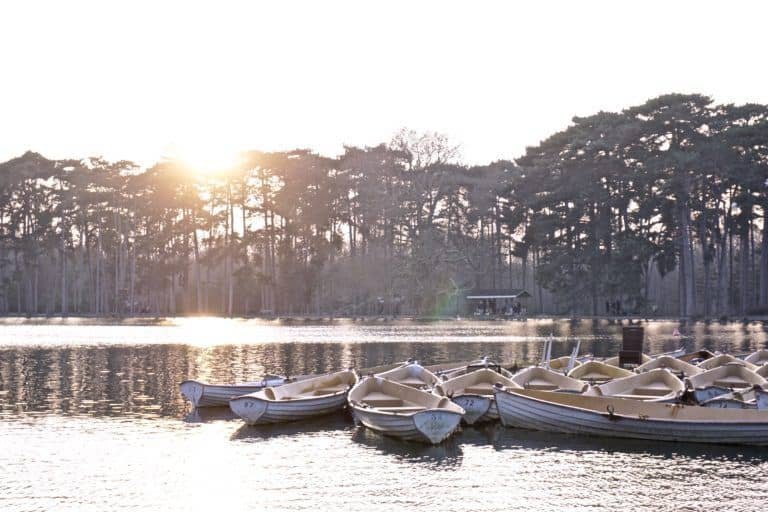 pedal boat in the Bois de Boulogne