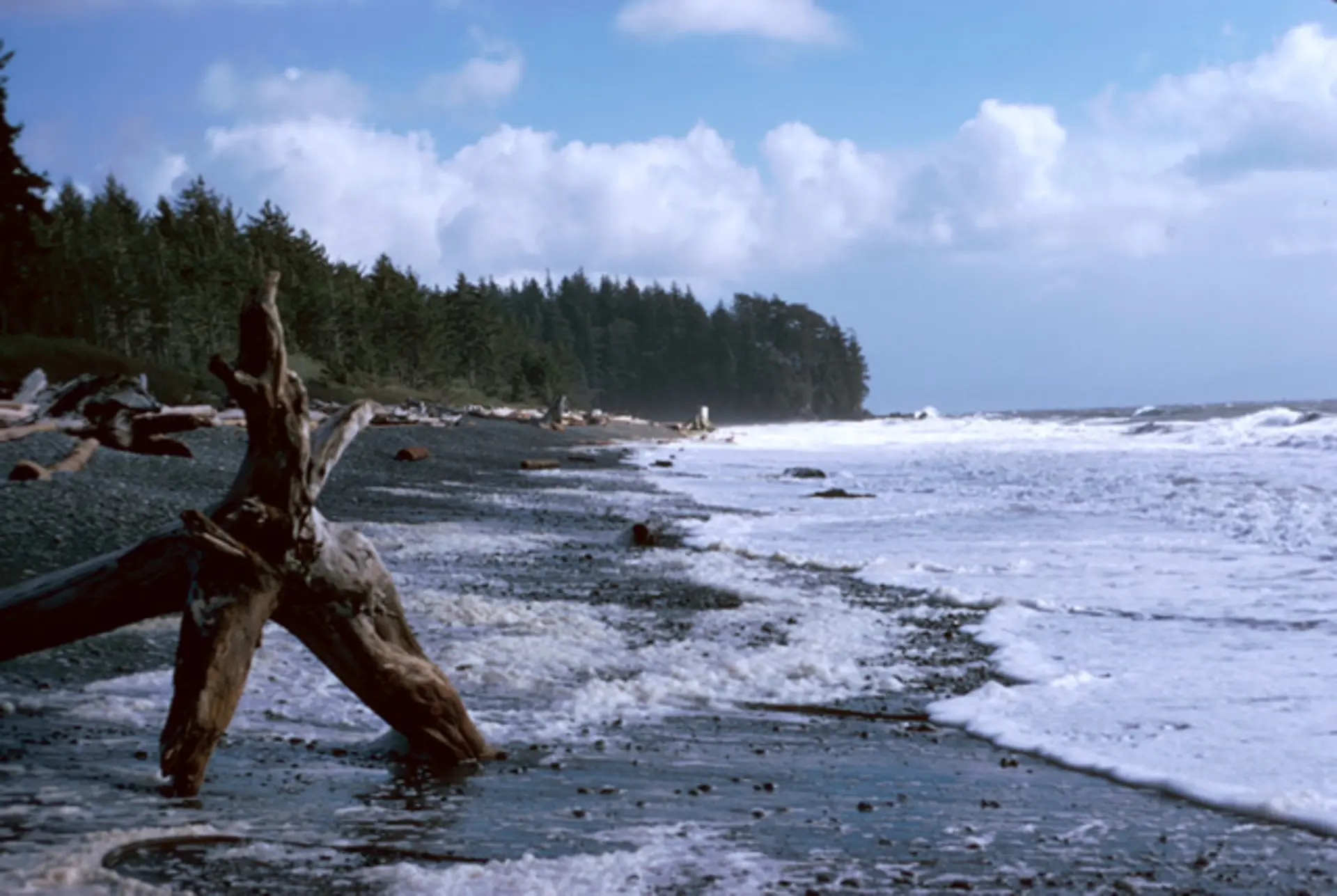 Explore Victoria BC Beaches and Parks