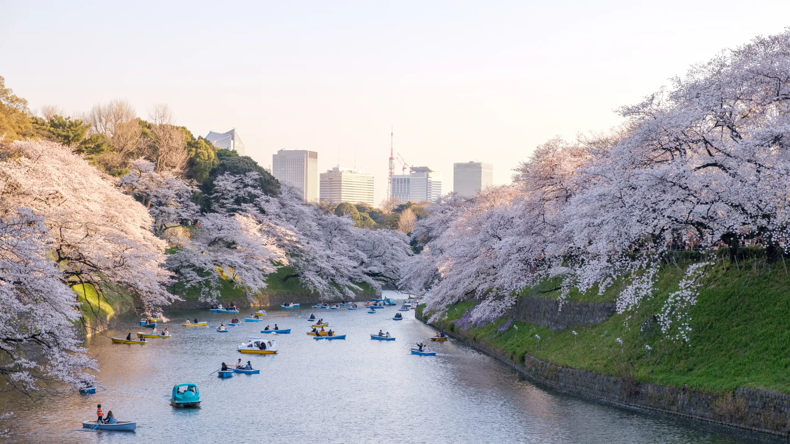 Tokyo Itinerary for 5 Days