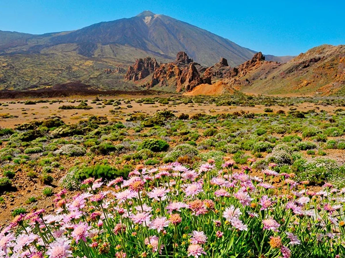 Mount Teide National Park