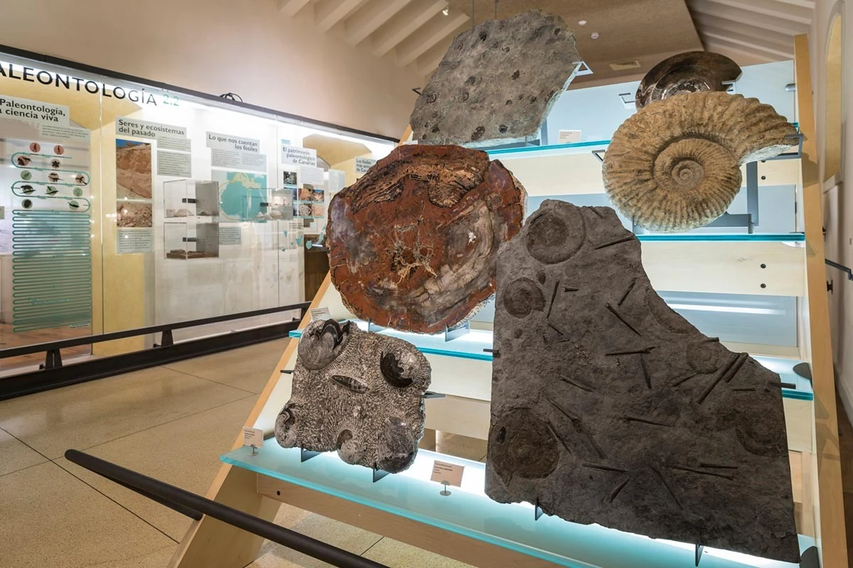 Museum of Nature and Archaeology (MUNA)