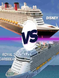 Disney Cruise vs Royal Caribbean