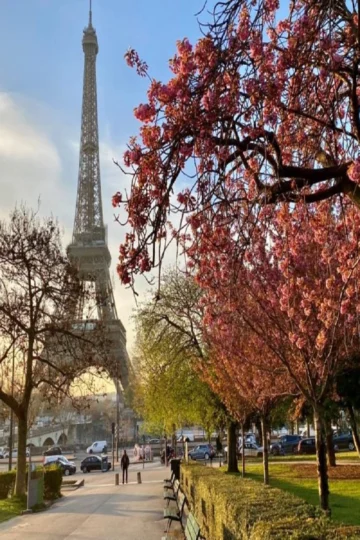 Perfect Paris Itinerary