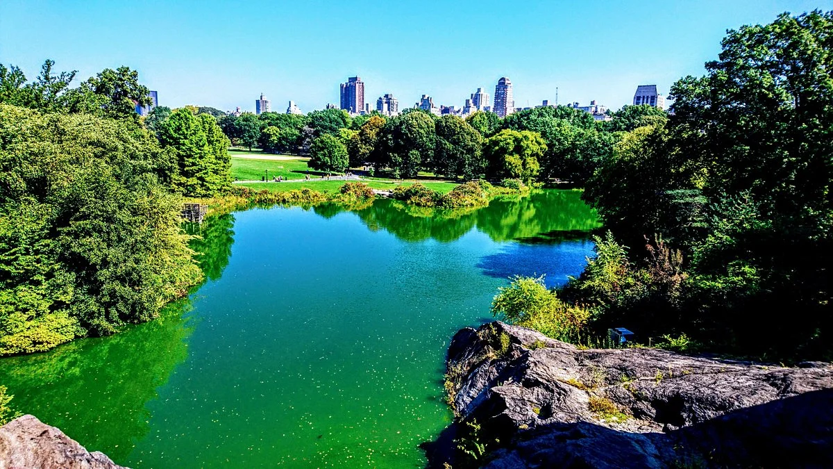 Scenic Views & Outdoor Activities
