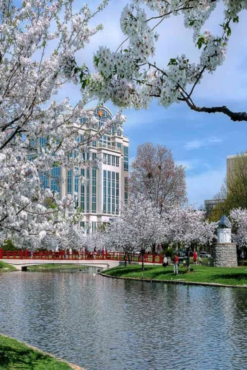 Things to Do in Huntsville AL